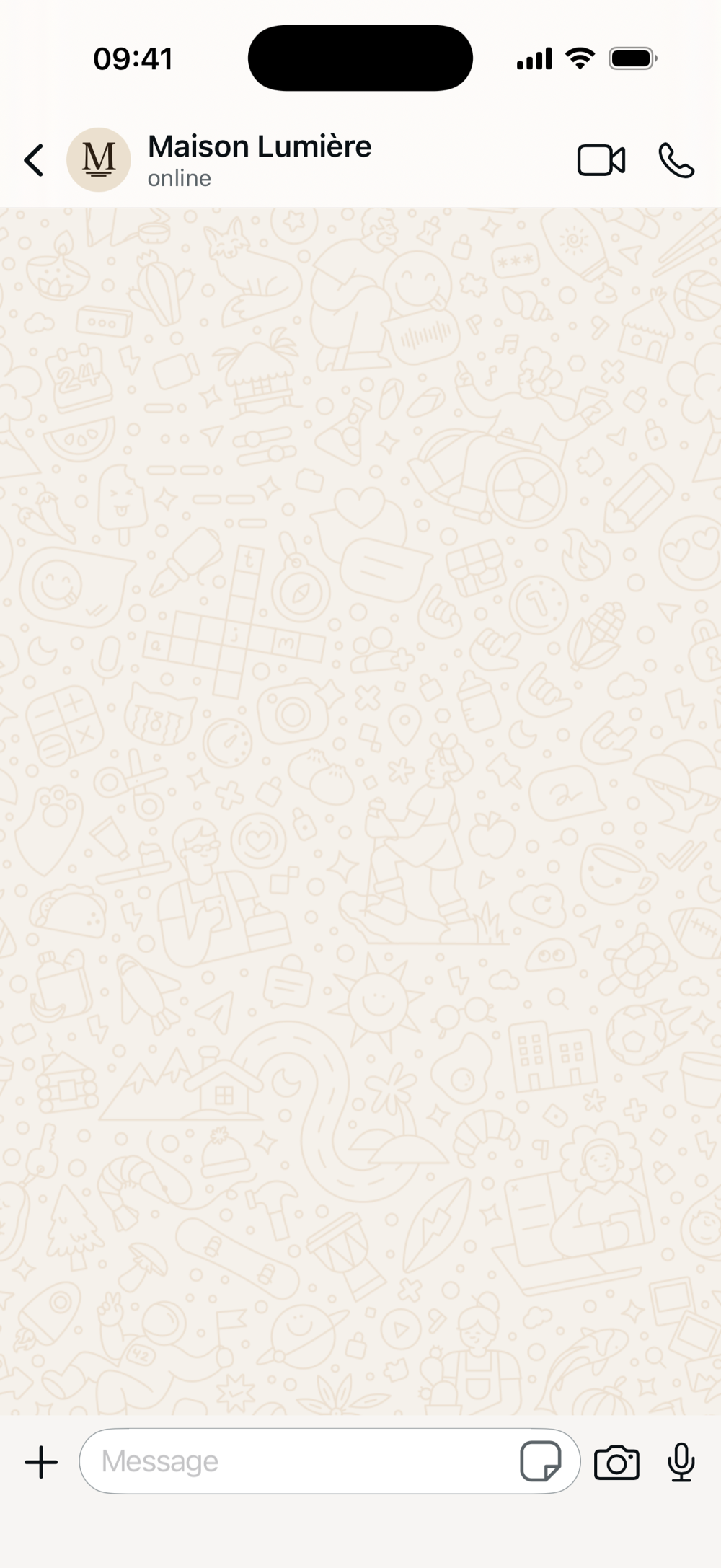 The empty business thread — the customer opens the chat to a blank message field, nothing to do next.